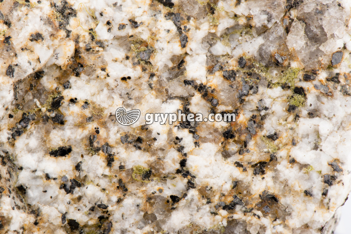 Granite altéré - gryphea.org